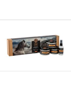 Natura Siberica Fresh SPA Home SPA program for hair