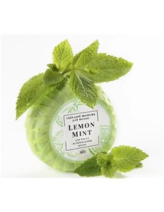 BLAGOVKUS Твердый шампунь для волос Lemon & Mint 60г