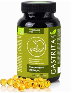 Молекулярные капсулы GASTRITAнет 320 капсул