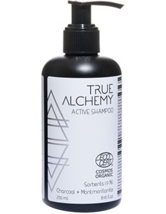 Levrana TRUE ALCHEMY Шампунь Sorbents 1.9%: Charcoal + Montmorillonite 250мл